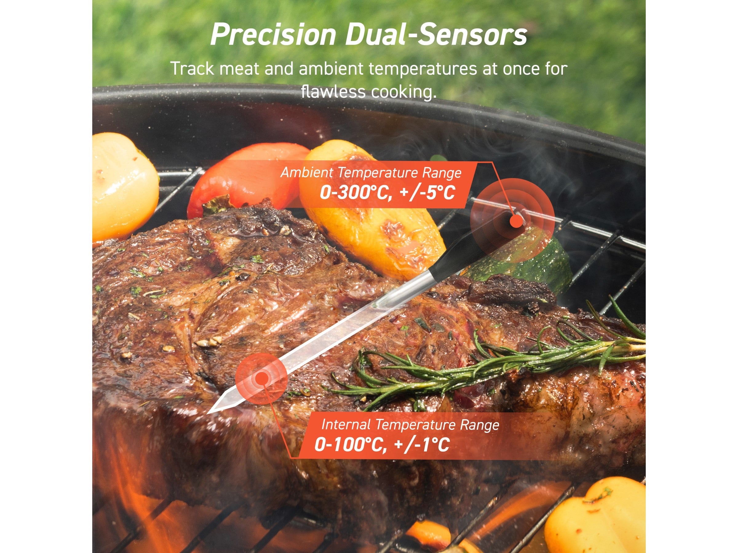 Cosori Smart Meat Termometer